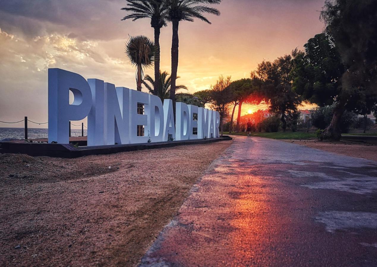 Apartamento En Planta Baja Daire Pineda de Mar Dış mekan fotoğraf